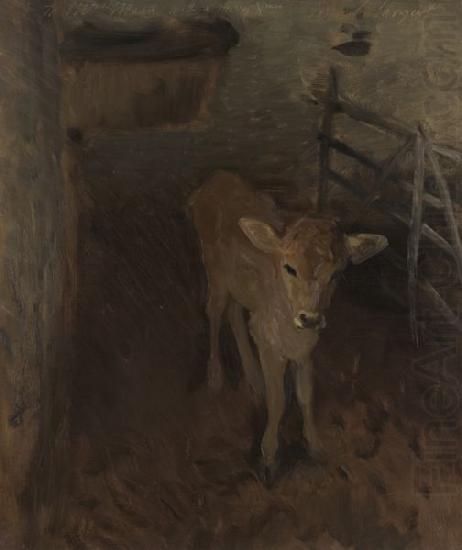 John Singer Sargent A Jersey Calf china oil painting image